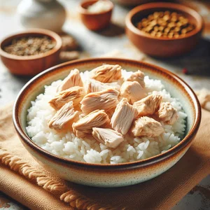 Recetas de Pollo con Arroz cocido para mascotas