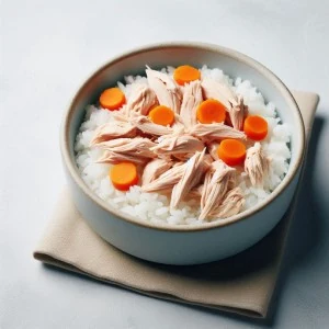 Pollo con Arroz y Zanahoria