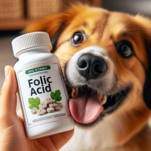 Vitamina B9 para perros