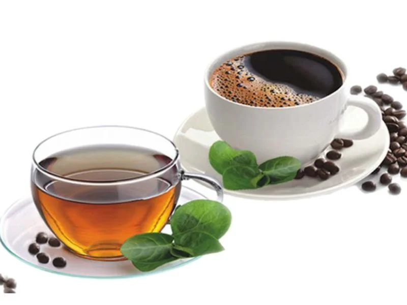 Café y té para perros Café y té para perros
