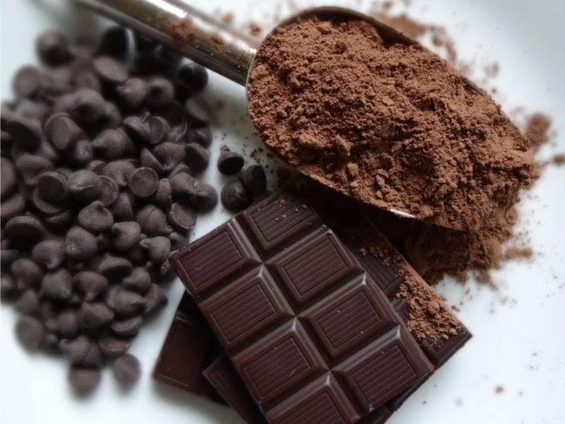 Chocolate y cacao para perros Chocolate y cacao para perros